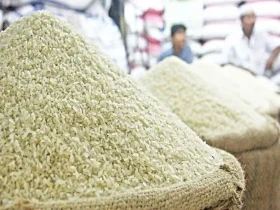 برنج آسیا در شوک قیمتی؛ بیشترین افزایش ماهانه در دو دهه گذشته