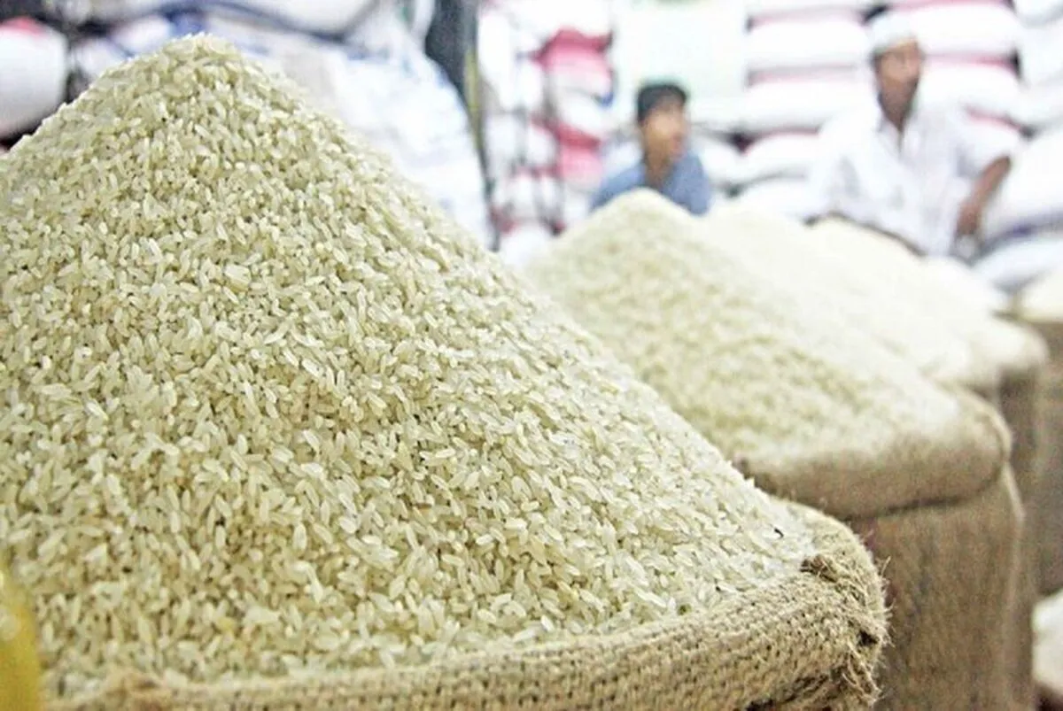 برنج آسیا در شوک قیمتی؛ بیشترین افزایش ماهانه در دو دهه گذشته