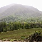 ۵۱۵ هکتار از اراضی غصب‌شده گلستان به آغوش بیت‌المال بازگشت