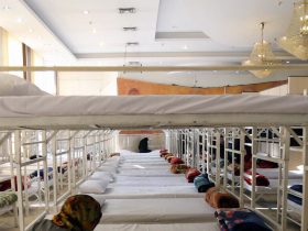 تخریب مرکز بازپروری خوزستان بر اثر حملات موشکی؛ مسیر دشوار برای بازگشت به چرخه درمان