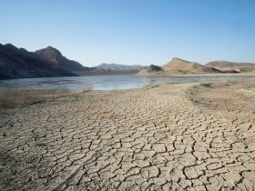 بیش از ۴۳ درصد مساحت مازندران درگیر خشکسالی بسیار شدید است