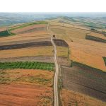 مشارکت ۲۰۰ هزار کشاورز آذربایجان‌غربی در طرح جهش تولید دیم‌زارها
