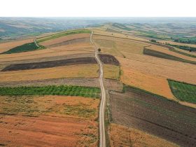 مشارکت ۲۰۰ هزار کشاورز آذربایجان‌غربی در طرح جهش تولید دیم‌زارها