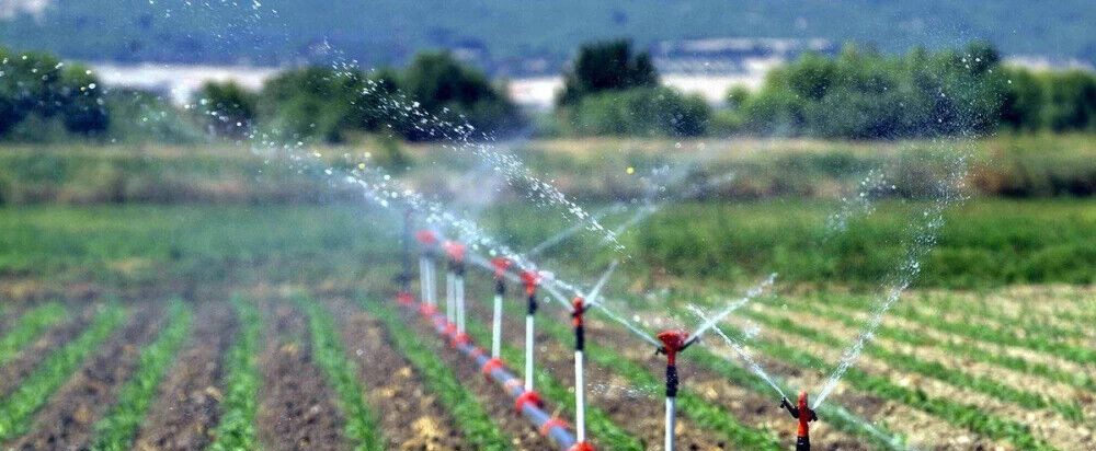توسعه سامانههای نوین آبیاری، مصرف آب کشاورزی خراسانشمالی را به نصف رساند