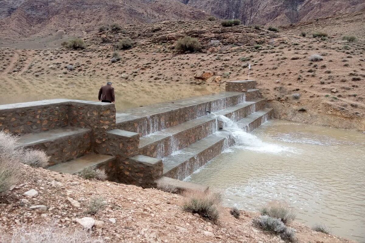 نمود صعودی حفاظت از طبیعت؛ اجرای ۱۰۸ پروژه مشارکتی در کردستان