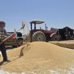 کاهش دغدغه‌ گندم‌کاران آذربایجان‌غربی در آستانه برداشت ۹۰۰ هزار تن محصول