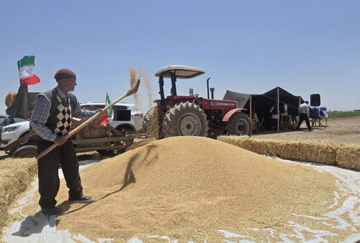 کاهش دغدغه‌ گندم‌کاران آذربایجان‌غربی در آستانه برداشت ۹۰۰ هزار تن محصول