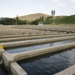 اردبیل پیشگام شد؛ آغاز عملیات اجرایی اولین شهرک آبزی‌پروری ایران