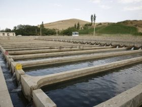 اردبیل پیشگام شد؛ آغاز عملیات اجرایی اولین شهرک آبزی‌پروری ایران