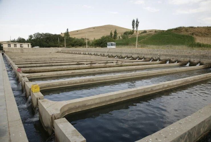 اردبیل پیشگام شد؛ آغاز عملیات اجرایی اولین شهرک آبزی‌پروری ایران