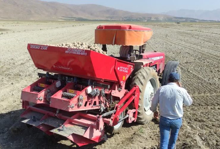 خیز چهارمحال و بختیاری برای تولید ۱۰ هزار تن سیب‌زمینی بذری