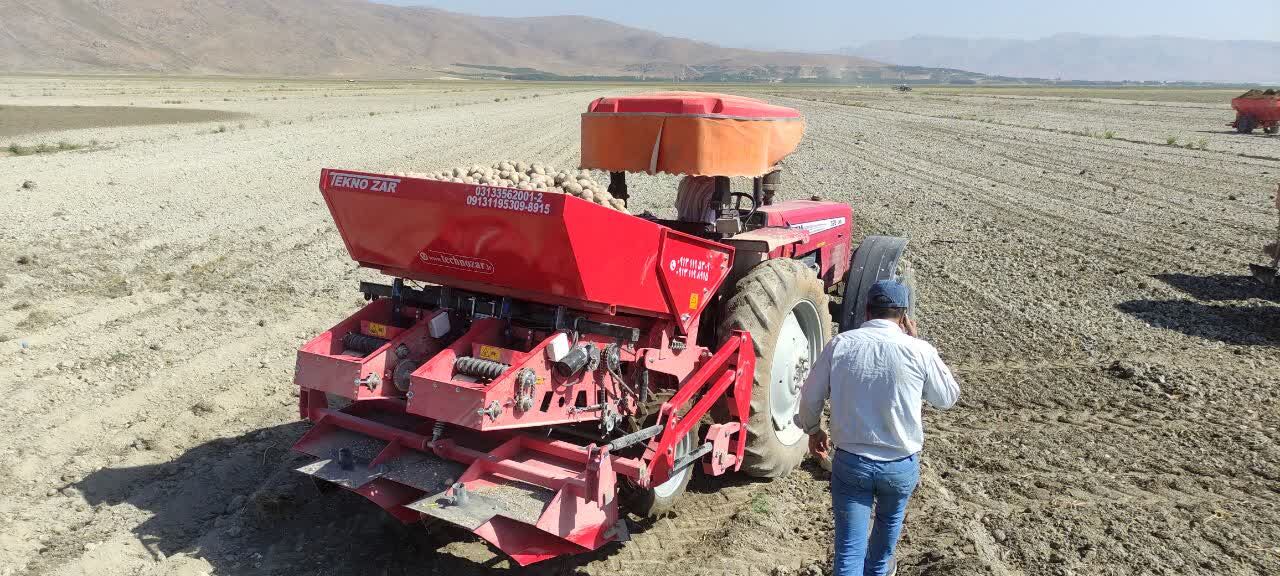 خیز چهارمحال و بختیاری برای تولید ۱۰ هزار تن سیب‌زمینی بذری