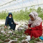 اختصاص ۱۶ هزار میلیارد ریال تسهیلات اشتغال‌زایی در استان قزوین