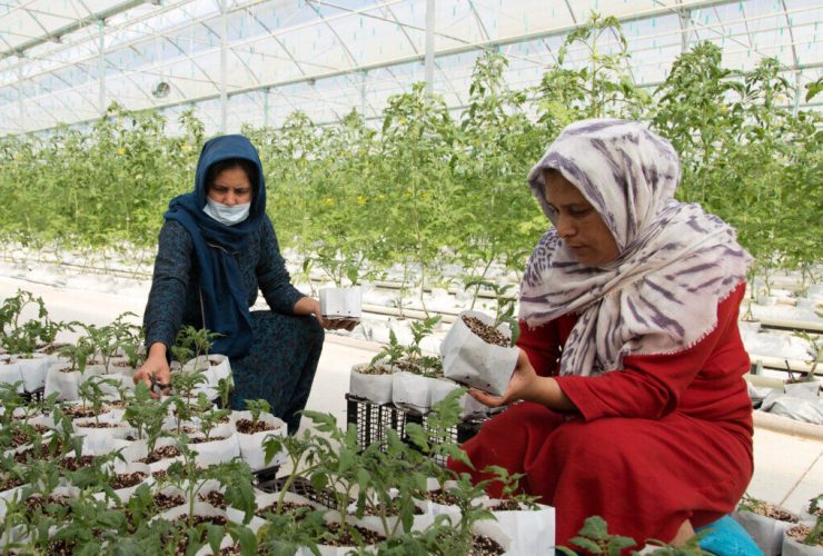 اختصاص ۱۶ هزار میلیارد ریال تسهیلات اشتغال‌زایی در استان قزوین