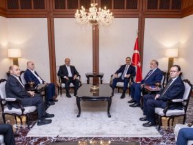 فیدان بر تداوم حمایت آنکارا از آرمان فلسطین و روند صلح غزه تأکید کرد