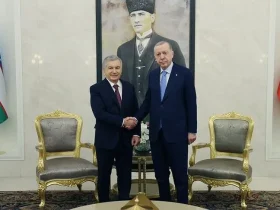 رایزنی تلفنی اردوغان و میرضیایف درباره نقشه راه جدید روابط ترکیه و ازبکستان